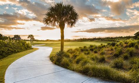 The best part of visiting this beautiful island is that one can completely witness the nature in all her glory. . Airbnb kiawah island